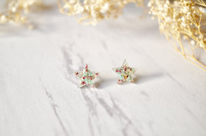 Real Dried Flowers and Resin Star Stud Earrings in Mint and Rose