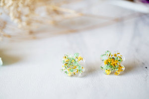 Real Dried Flowers and Resin Clover Stud Earrings in Yellow and Green