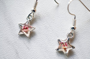 Real Dried Flowers and Resin Star Earrings in Magenta and White