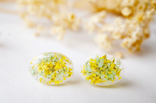 Real Dried Flowers and Resin Oval Stud Earrings in Yellow and Mint