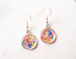 Real Dried Flowers and Resin Earrings, Silver Circle Drops in Party Mix