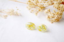 Real Dried Flowers and Resin Oval Stud Earrings in Yellow and Mint
