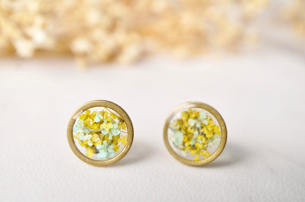 Real Dried Flowers and Resin Stud Earrings, Gold Circle in Mint and Yellow
