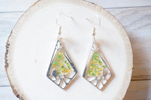 Real Dried Flowers and Resin Earrings, Silver Drops in Green and Yellow