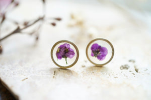 Real Pressed Flowers and Resin Stud Earrings, Brass Circles with Purple Alyssum