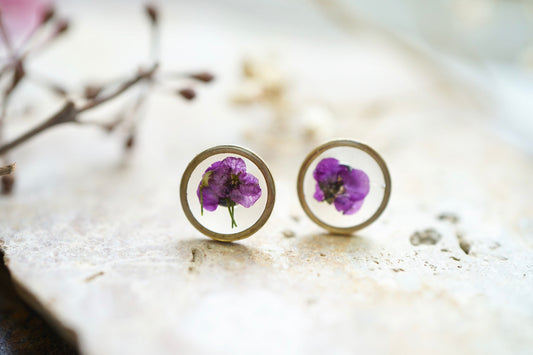 Real Pressed Flowers and Resin Stud Earrings, Brass Circles with Purple Alyssum