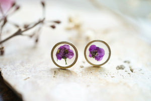 Real Pressed Flowers and Resin Stud Earrings, Brass Circles with Purple Alyssum
