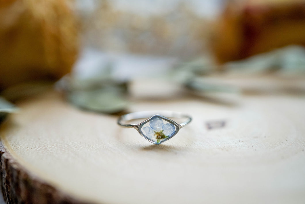 Real Pressed Flower and Resin Ring, Diamond Silver Band with Forget Me Not